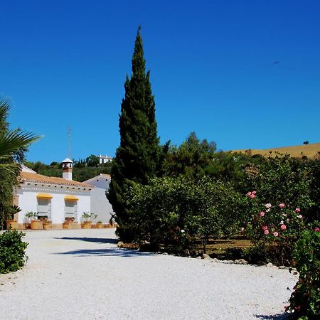 Finca El Limonar Alora Ngoại thất bức ảnh