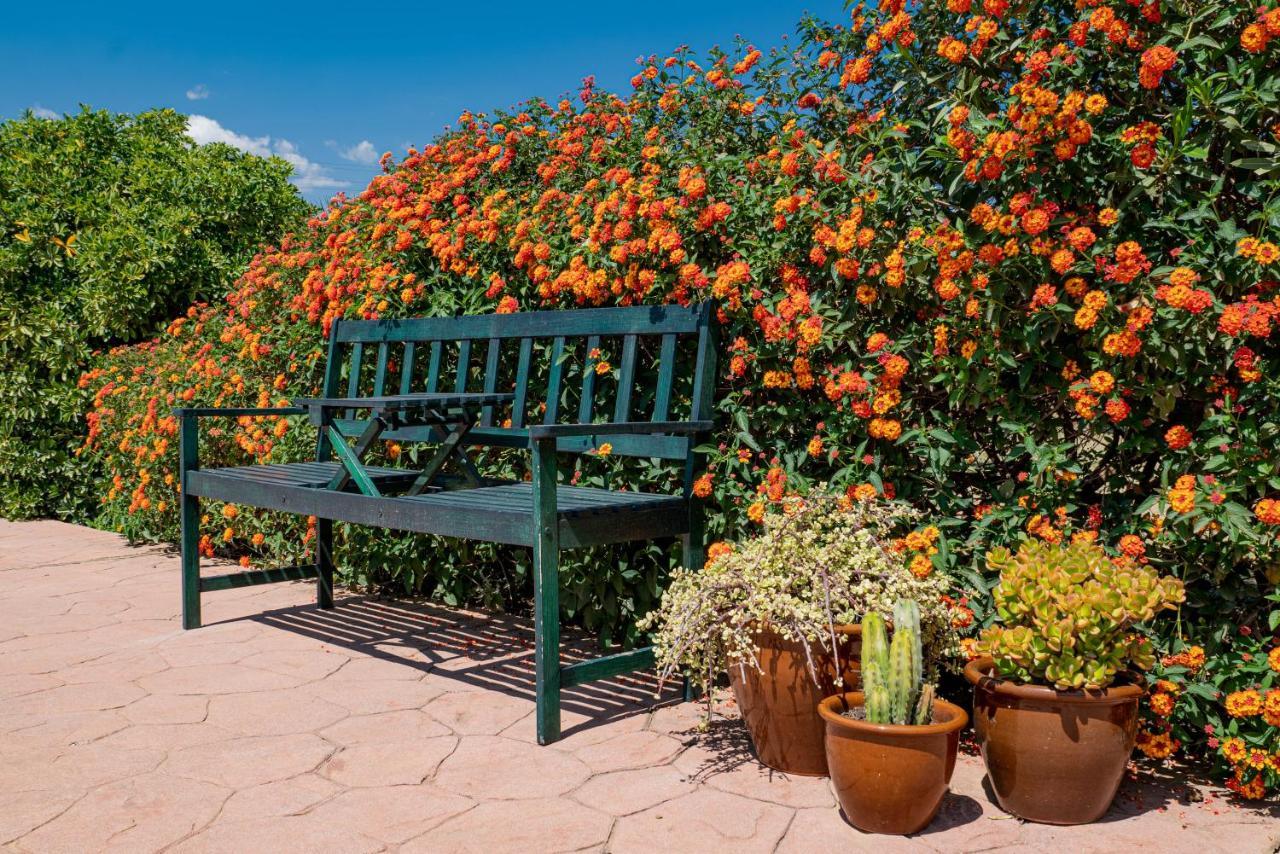 Finca El Limonar Alora Ngoại thất bức ảnh