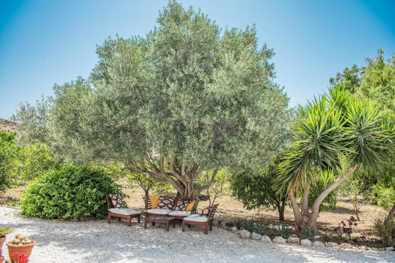 Finca El Limonar Alora Ngoại thất bức ảnh