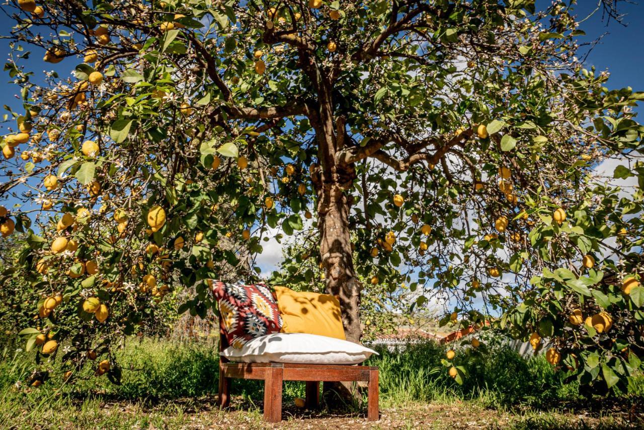 Finca El Limonar Alora Ngoại thất bức ảnh