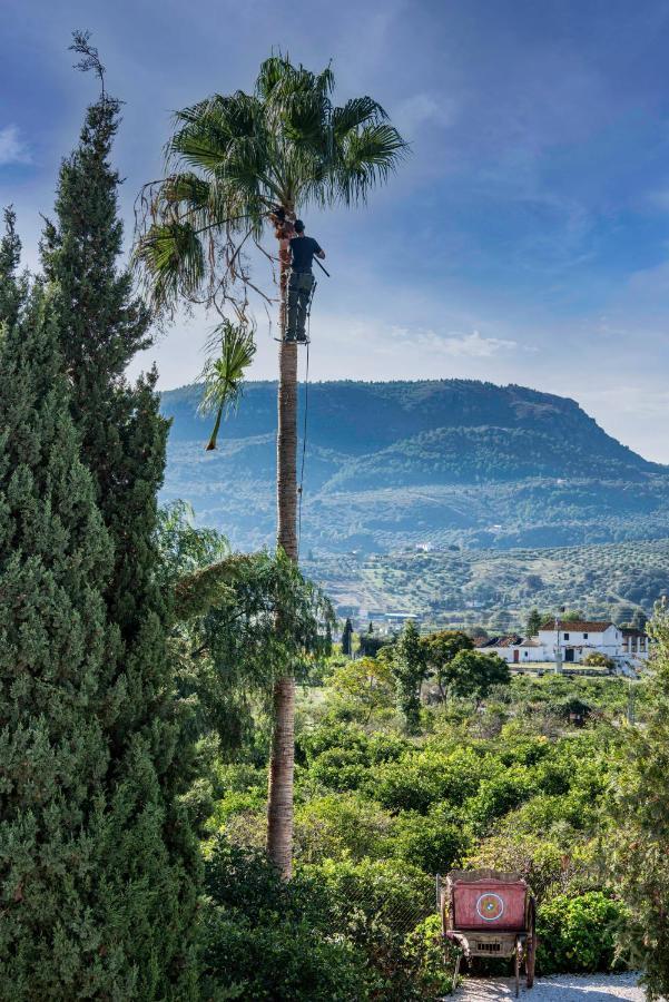 Finca El Limonar Alora Ngoại thất bức ảnh