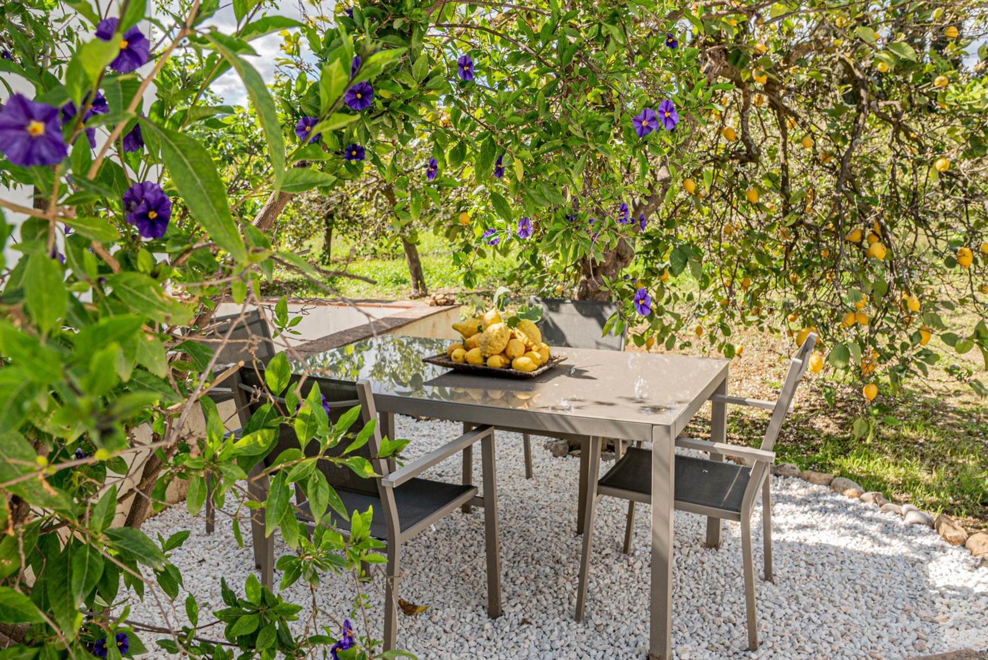 Finca El Limonar Alora Ngoại thất bức ảnh