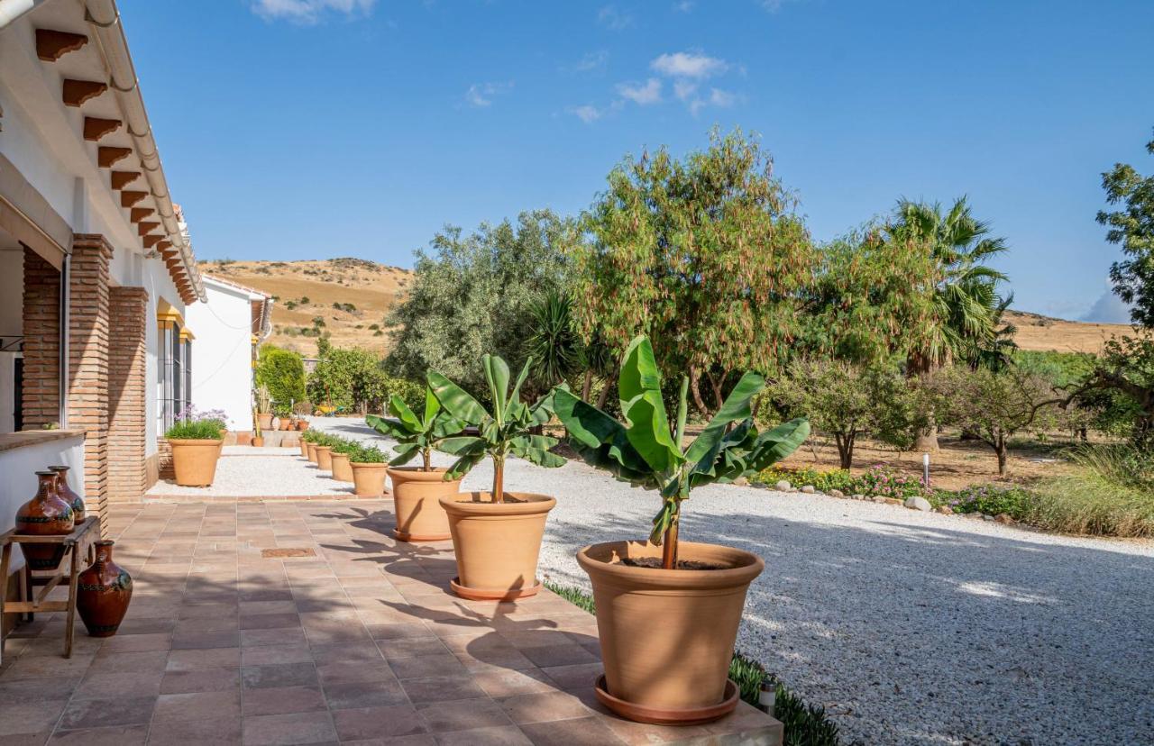 Finca El Limonar Alora Ngoại thất bức ảnh