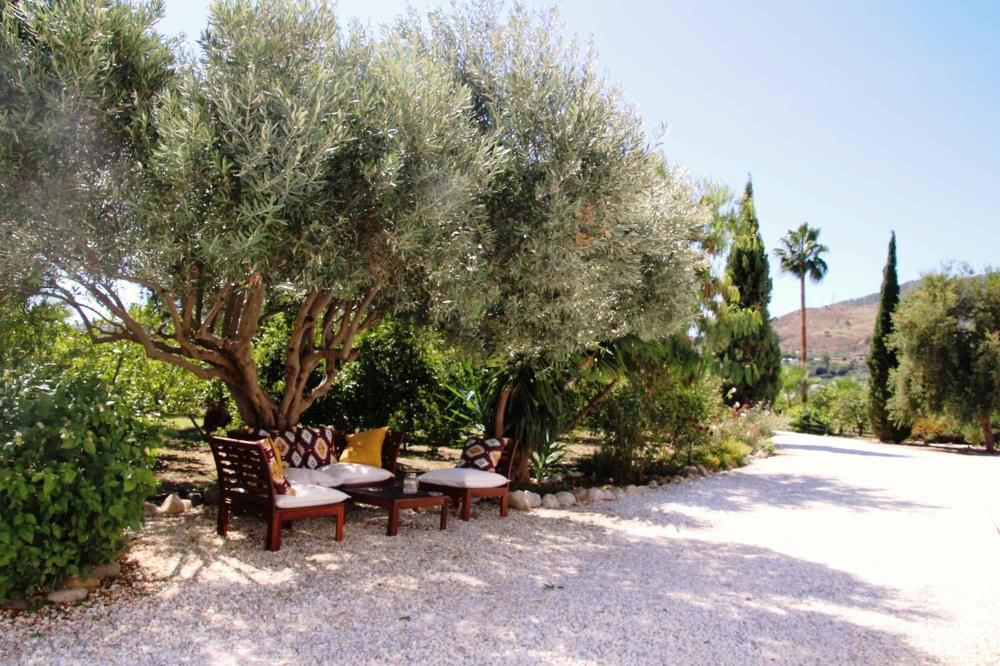 Finca El Limonar Alora Ngoại thất bức ảnh